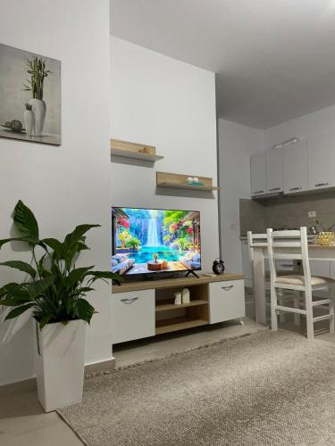 Main apartment Bulevard 5, Тирана