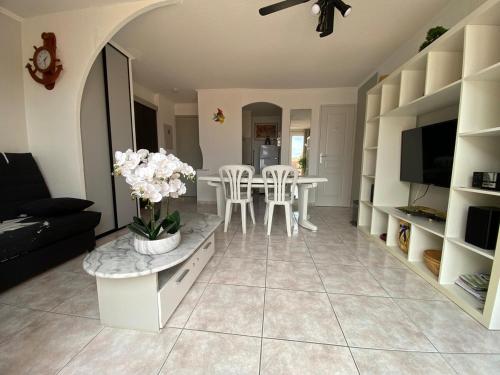 Appartement 50 m de la plage vue mer - Location saisonnière - Sainte-Marie-la-Mer