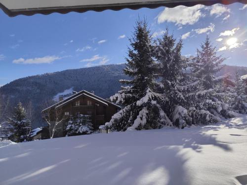 Confortable appartement 3 pieces avec terrasse a Meribel - FR-1-411-624 in Les Allues
