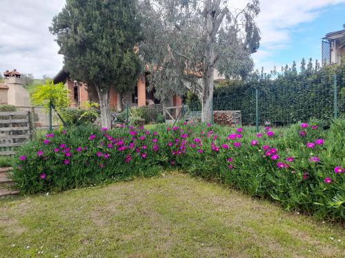 Agriturismo Santa Adriana - image 11
