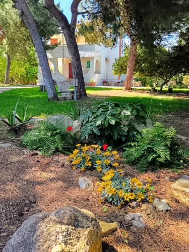 Exterior view of Villa Memia