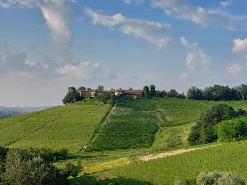 Tenuta Montanello B&B – Castiglione Falletto, NY