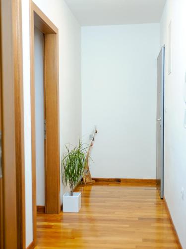 Lavender Suite Zadar - image 4