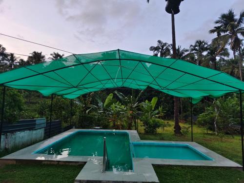 Úszómedence, Avian Oasis Homestay in Thattakad