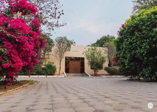 Greenland Farm, Dubai (Foto 4)