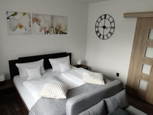 カメニチュキ・セノフ Ubytovani a apartman Prachen u Novaku 4つ星 シングルルーム 眺望