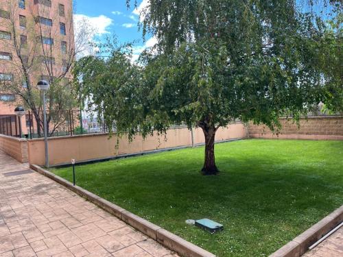 حديقة, Apartamento turístico Vallecas (Apartamento turistico Vallecas) in فيلا دي فاليكاس