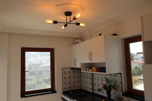 Blackwood Flava Cora in 達特恰