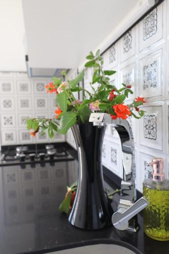 Blackwood Flava Cora in 達特恰