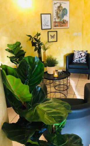 Hotel B&B Des Bains Milano Marittima in Milano Marittima