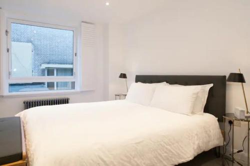 Shoreditch - Immaculate 2 Bedrooms Flat for 6, Londýn (fotografie 6)