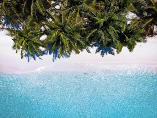 Beach Inn Vashafaru in Haa Alif Atoll