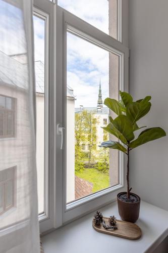 Perfectly Located Old Town Studio, Riga (fotografie 10)