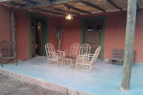 Cactus del Talampaya 2 in Villa Union