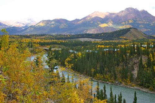 Denali Grizzly Bear Resort - 주변 환경