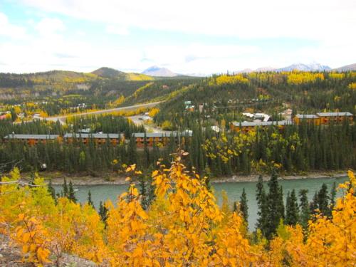 Denali Grizzly Bear Resort - 주변 환경