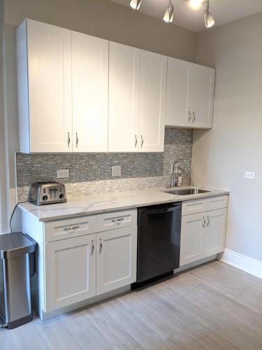 Spacious Bronzeville Apartment in Douglas