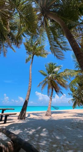 Beach Inn Vashafaru in Haa Alif Atoll