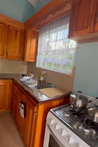 Cocina, LJ Apartment in Friendship