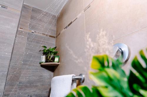 Kasa Hotel & Suites