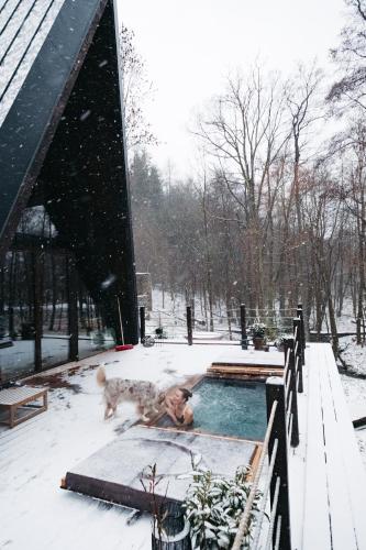 Hot tub, Zivili in Votice