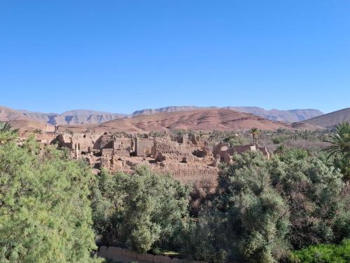 Oasis travel in Errachidia