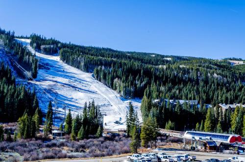 Ski Tip #8716 - image 2