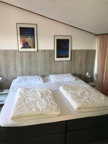 freistehendes Ferienhaus mit Sauna und Kamin in Kamperland