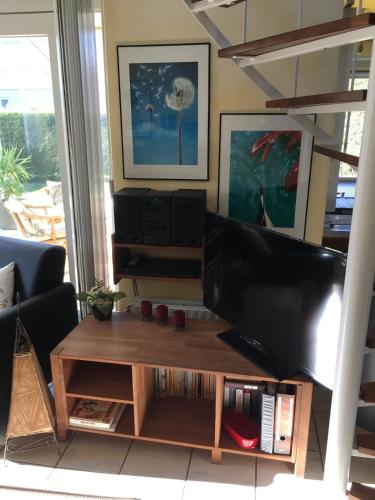 freistehendes Ferienhaus mit Sauna und Kamin in Kamperland