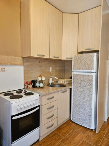 One-Bedroom Apartment image 5