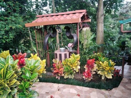 Bromelias in Tuetal Norte