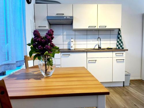 Kitchen, 1-Zi-App Lindenblute Busum 4km Nordsee Terrasse Parkplatz in Busumer Deichhausen