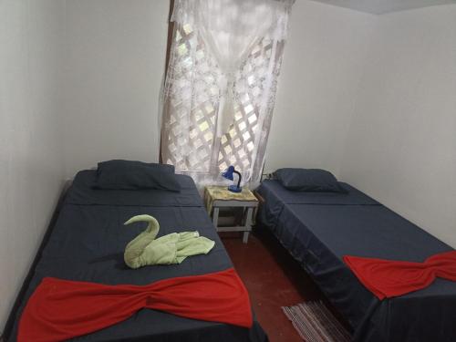2 twin beds