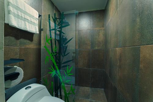 Hotel Boutique Casa Lanz XVII