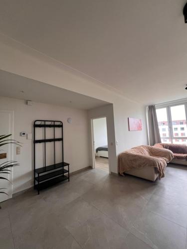 Cozy Feels, Central Vibes, Amberes (foto 6)