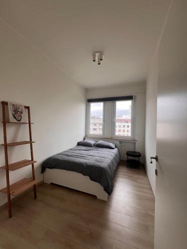 Cozy Feels, Central Vibes, Amberes (foto 8)