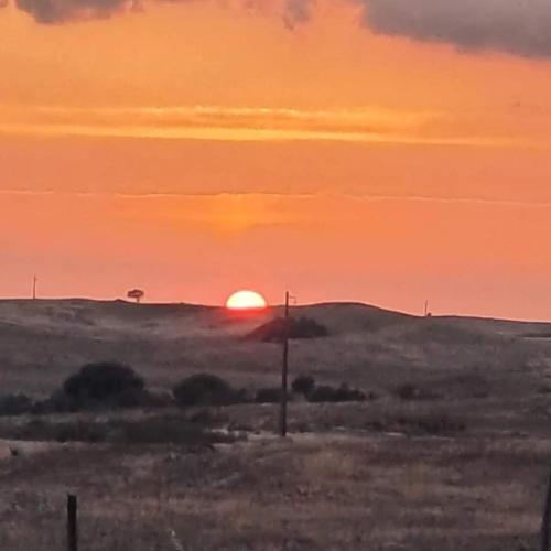 Monte das Sorraias Casa Emília gîte à louer Alcaria do Coelho