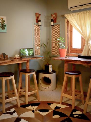 Tecoma Hostel, Dahab (photo 7)