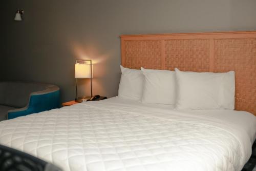 Southern Breeze Ocean Front Hotel - image 7