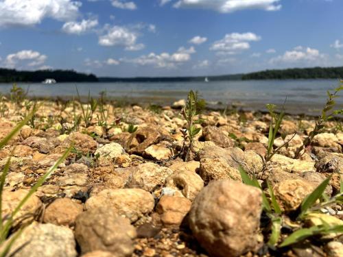 Forest Getaway & Golf at Lake - image 13
