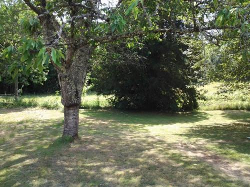 Gîte Cheillé 3 pièces 4 personnes - FR-1-381-20 - image 8