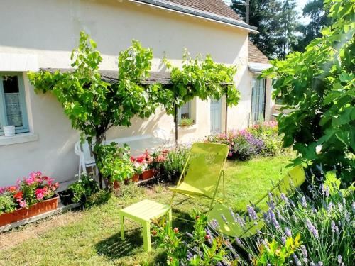 Location saisonnière: Gîte de charme avec jardin privé, proche des châteaux de la Loire et de la nature - FR-1-381-200 gîte à louer Cléré-les-Pins