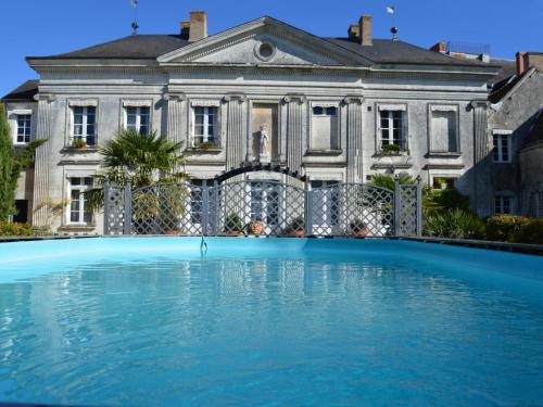 Château Authentique avec Piscine Privée, Proche Châteaux de la Loire et Zoo de Beauval - FR-1-381-485 gîte à louer Châtillon-sur-Indre