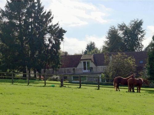 Gîte cosy avec accès à un camping, étang, VTT, et proche de randonnées et d'Alençon, animaux acceptés - FR-1-497-111 gîte à louer Radon