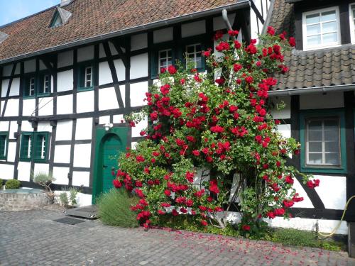 Falderhof, Cologne (photo 9)