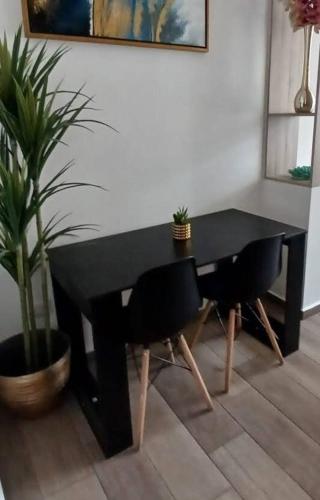One-Bedroom Apartment image 10
