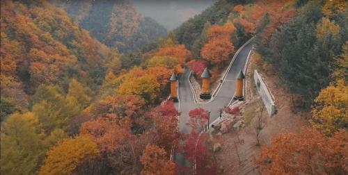 旌善 Romyzian Garden Mountain House ホテル 客室