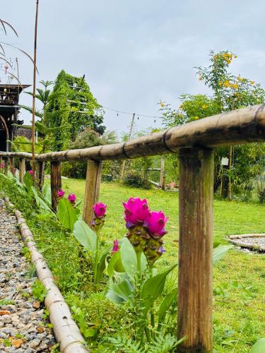 Rakkhao Inthanon Homestay 