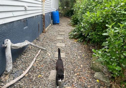 Facilities, Paekakariki Cottage near the Sea in Paekakariki