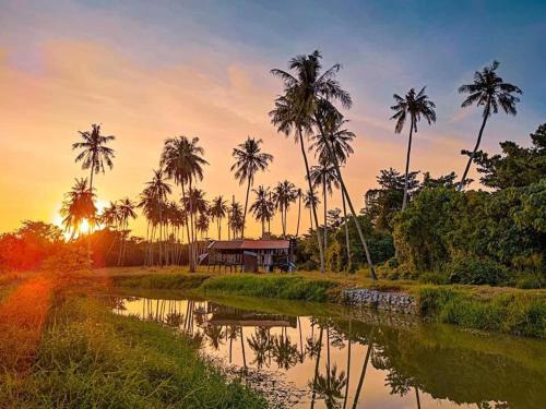 Surrounding environment, Junior Suite Nature of Penang Guesthouse in Balik Pulau